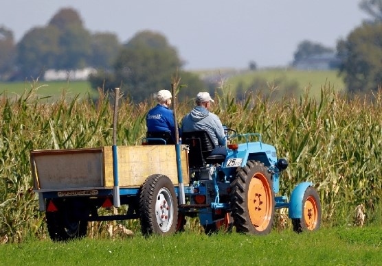 Европейски земеделски организации искат мерки срещу неограничения внос от Украйна
