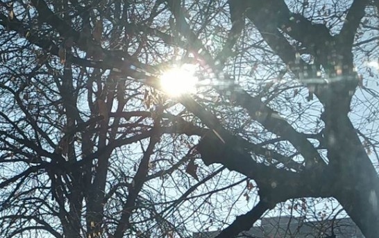 Днес сълнчево. Максималните температури ще са между 5° и 10°