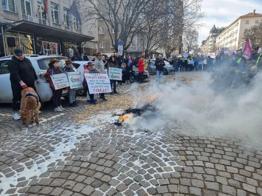 Протест на земеделците министерството, запалиха слама и я изгасиха с мляко