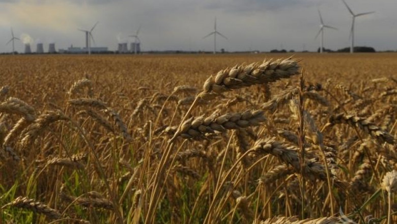 Зам.-министърът на земеделието: Имаме възможност да осигурим 150 млн. лв. за земеделците