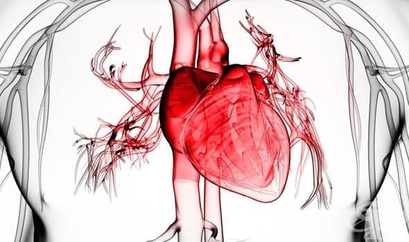 Застрашителен тренд: Младите хора са изправени пред все по-голям риск от инфаркт