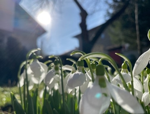 Температурни рекорди: Над 20 градуса в много градове у нас