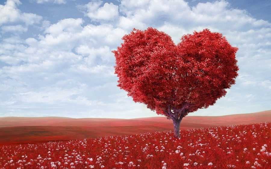 Любовта по света: Как различните страни празнуват Свети Валентин