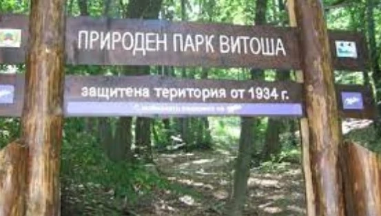 Защо Дирекцията на Природен парк Витоша крие новия план за управление?