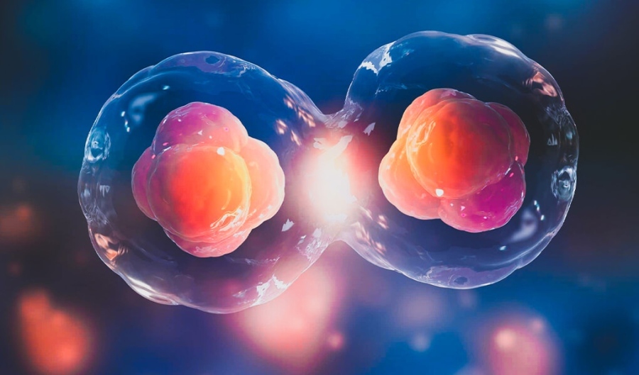 Нова технология ще позволи създаването на ембриони с гени от двама мъже