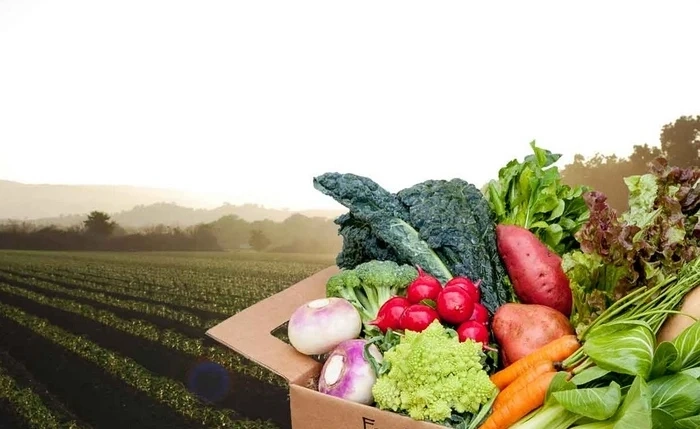 Възстановяват митата върху украинския износ на земеделска продукция