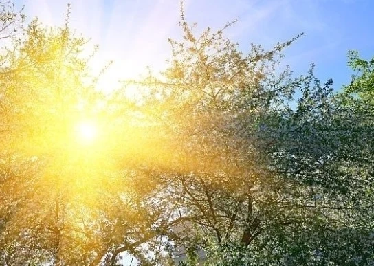 Днес слънчево с максимални температури между 17° и 22°