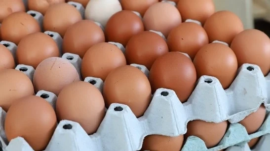 Продават ни румънски и украински яйца за български