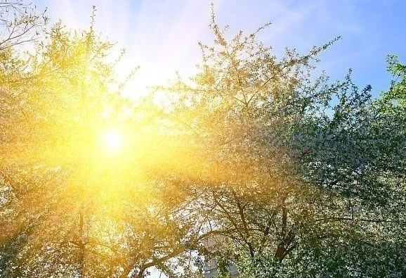 Днес сълнчево с максимални температури между 20° и 25°