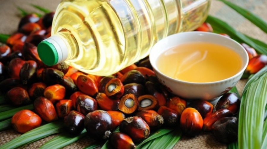Палмовото масло: Какви са ползите и вредите
