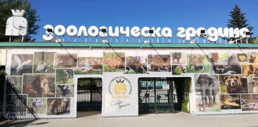 По повод отбелязването на Международния ден на детето Софийският зоопарк