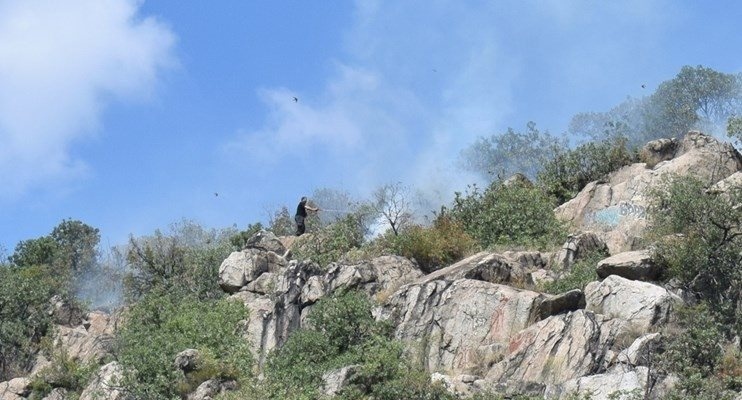 Пожар избухна на Младежкия хълм в Пловдив алармират граждани Пламъците