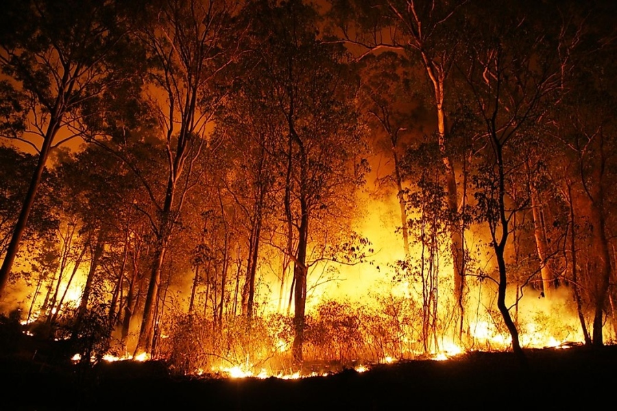 Пожари бушуват в различни райони на България