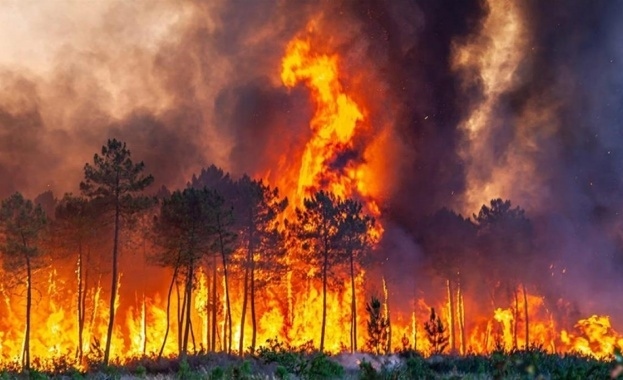 Агенцията по горите: Седем пожара горят в горски територии в България