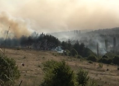Пожарът в Свиленградско обхвана площ над 100 000 декара Огънят