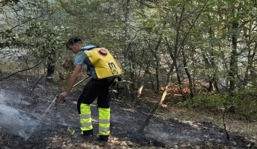 Земеделските производители осигуряват техника и помощ срещу пожарите