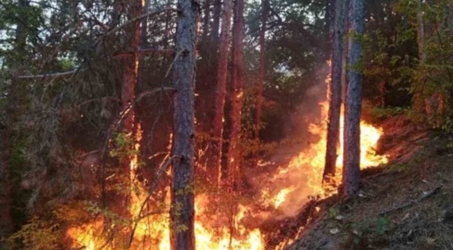Критично: Гръцкият пожар на 600 м от границата ни 