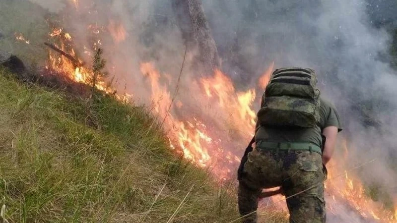 Продължават усилията за справяне с пожара на българо-гръцката граница