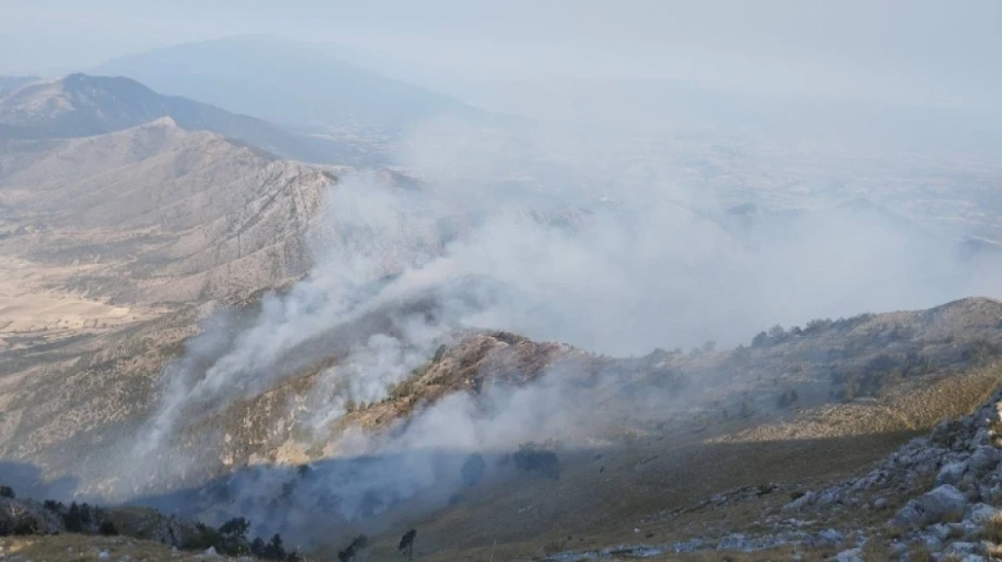 Пожарът в Гърция отново е достигнал до границата с България