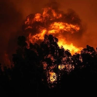 Над 4 хиляди евакуирани в Турция заради бушуващи пожари