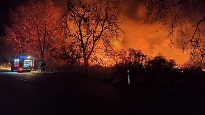 Голям пожар гори край Пловдив