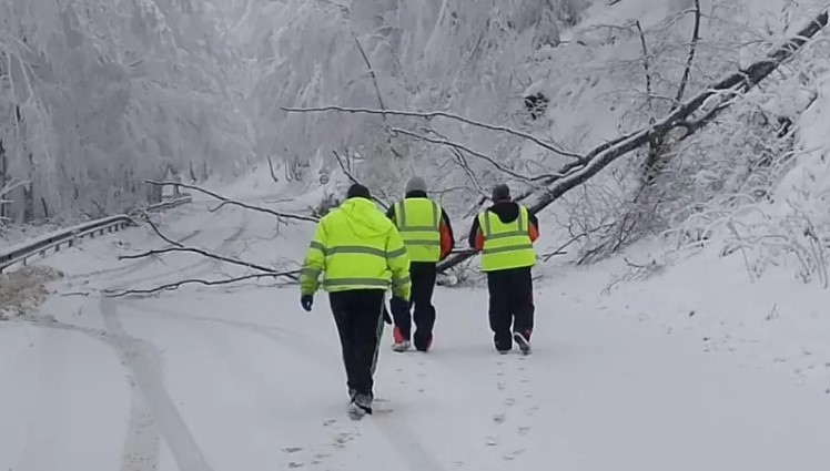 Ограничено е движението през прохода Петрохан до 15 00 ч днес