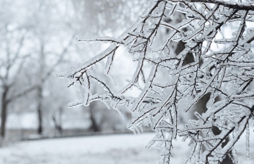 Днес ще бъде облачно През целия ден валежи от сняг