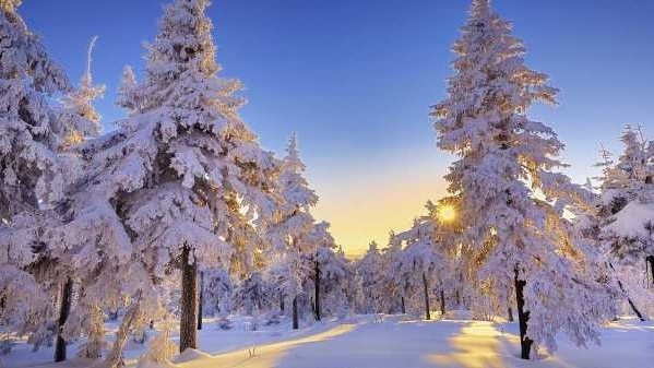 Времето днес: Максималните температури ще бъдат между 7° и 12°