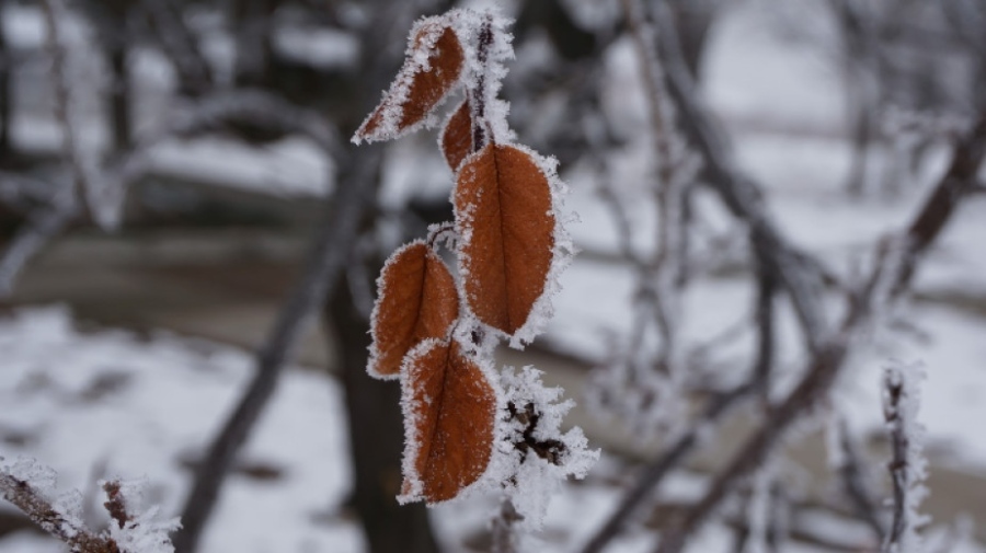 Времето днес: Максималните температури ще бъдат между 2° и 7°