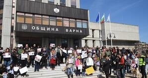 Публикуват за обществено обсъждане предложенията за по-строги санкции за насилие над животни