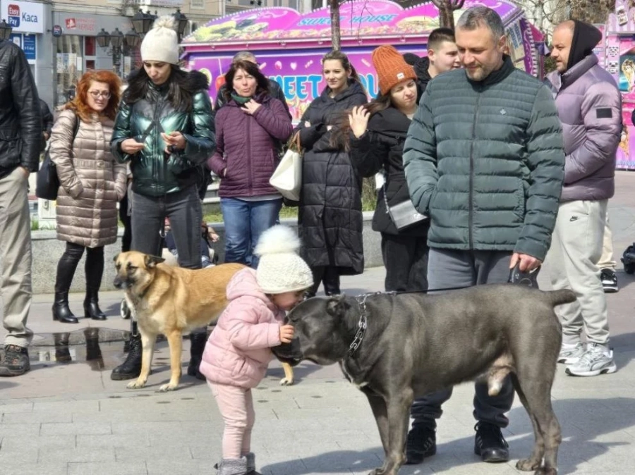 Нов протест в защита на животните в София