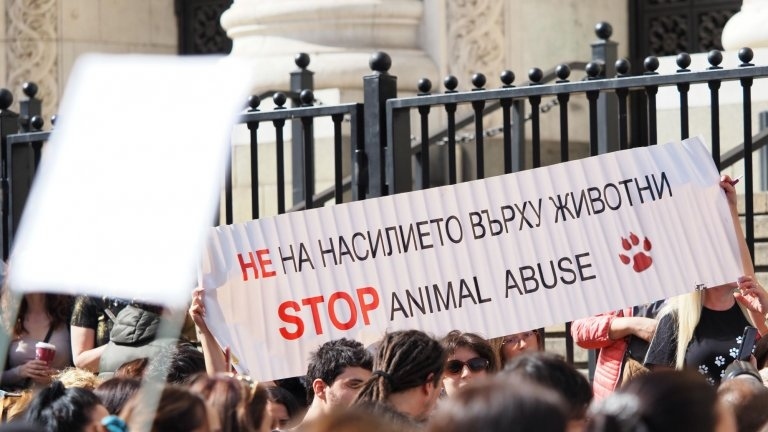 Поредни протести днес срещу насилието над животни