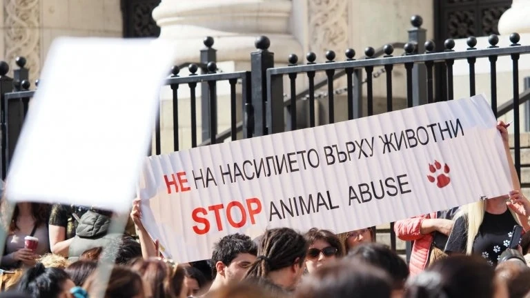 Поредни протести днес срещу насилието над животни