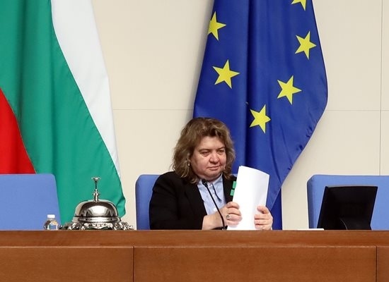 Киселова решава да насрочи ли за разглеждане и гласуване предложението за референдум