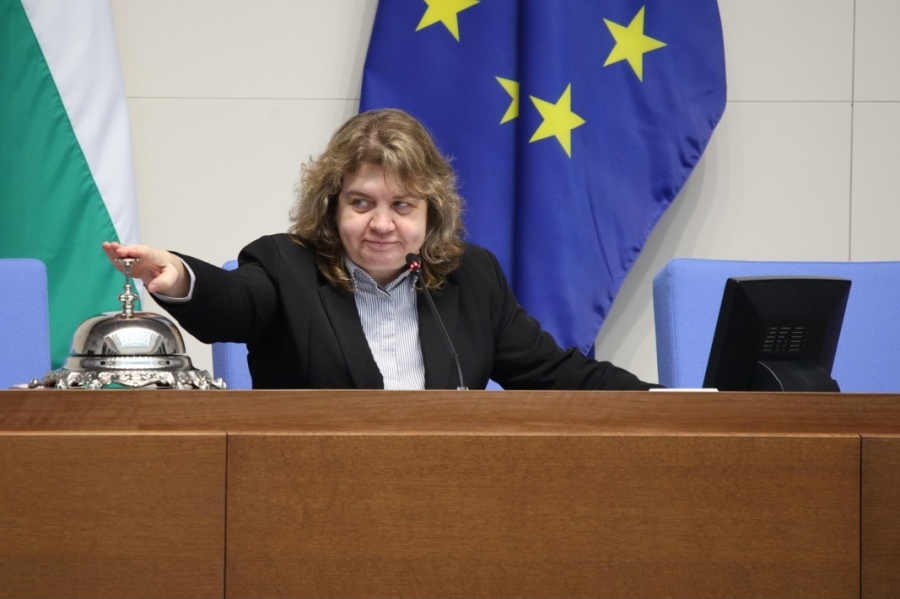 Доц. Киселова отряза Радев за референдума