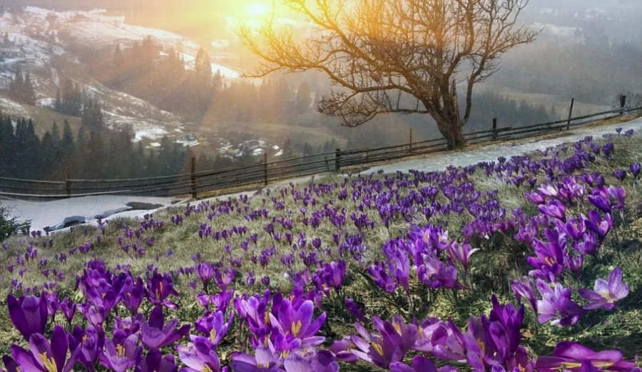 Времето днес: Максималните температури ще бъдат между 23° и 28°