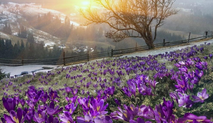 Времето днес: Максималните температури ще бъдат между 23° и 28°