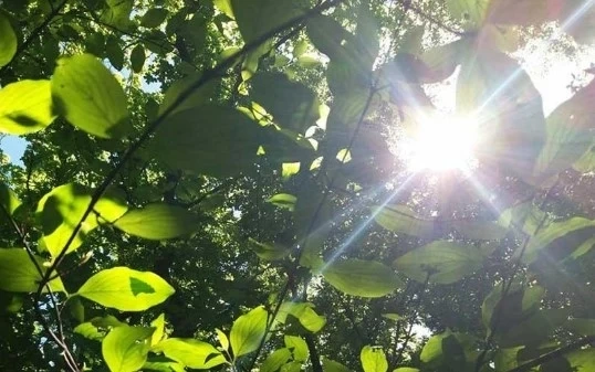 Днес слънчево с максимални температури между 30° и 35°