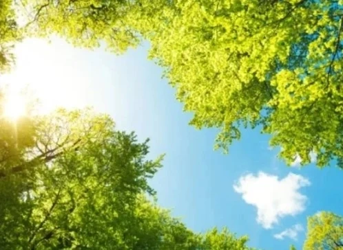 Днес предимно слънчево с максимални температури между 27° и 32°
