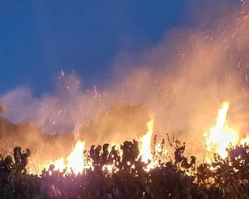 Нов пожар е възникнал в района на солниците край Бургас