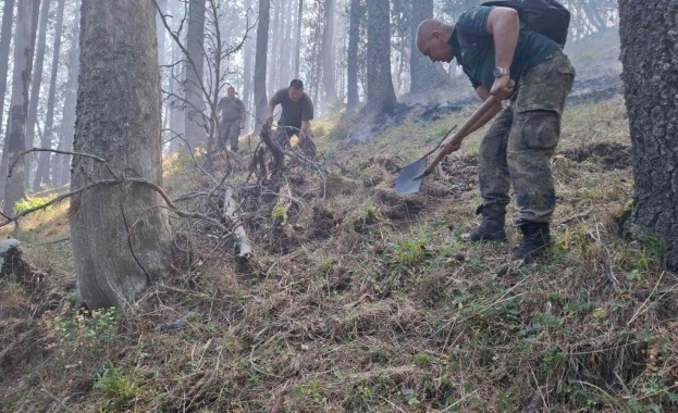 Пожарът във високите части на природен парк Рилски манастир е овладян
