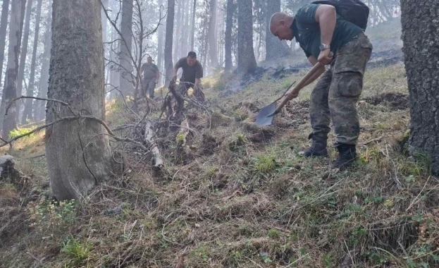 Пожарът във високите части на природен парк Рилски манастир е овладян