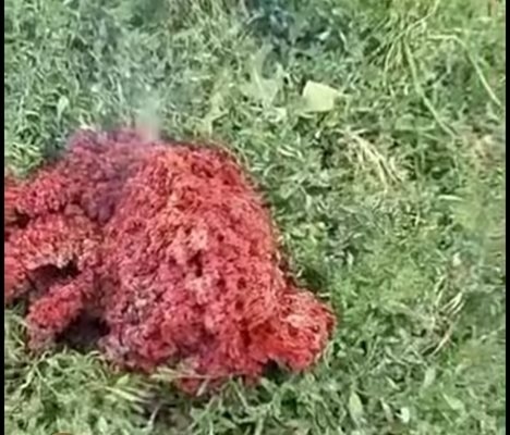 Отпадък от изкуствен спътник е падналото горящо тяло в двор в Якоруда