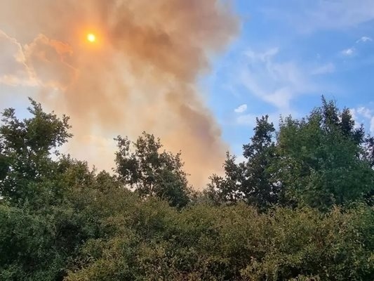Пожарът край първомайското село Искра е локализиран