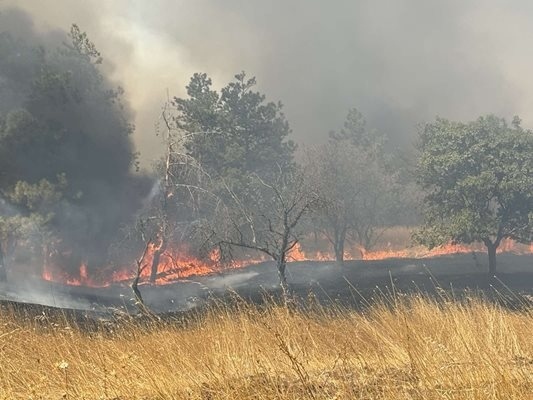 Огромен пожар избухна край Българово, евакуират хората