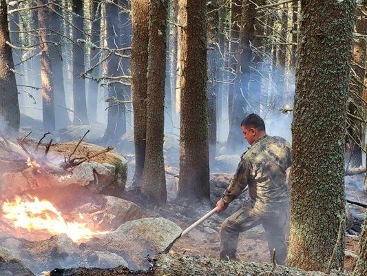 Пожарът в Национален парк Рила се разраства