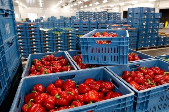 Зеленчукопроизводителите алармират за куп проблеми
