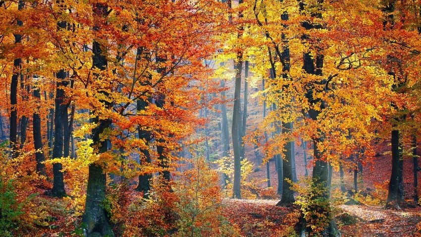 Времето днес: Максималните температури ще са 19°-24°