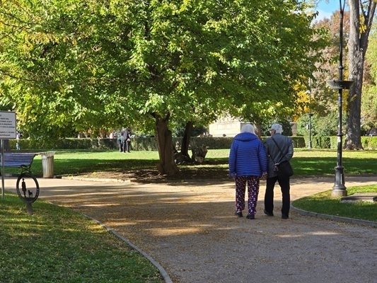 Средната пенсия ще е 541 евро, а за полицаи и военни ще е двойно по-голяма