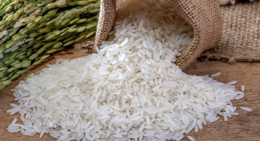 Българската оризова асоциация прекратява членството си в Българската аграрна камара